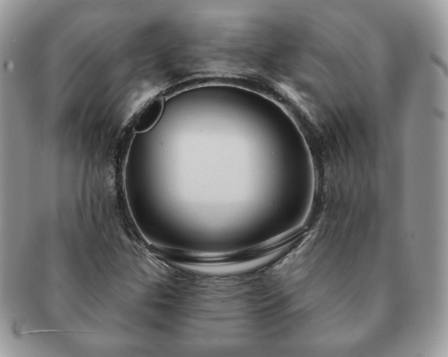 X0000091191307200708161541