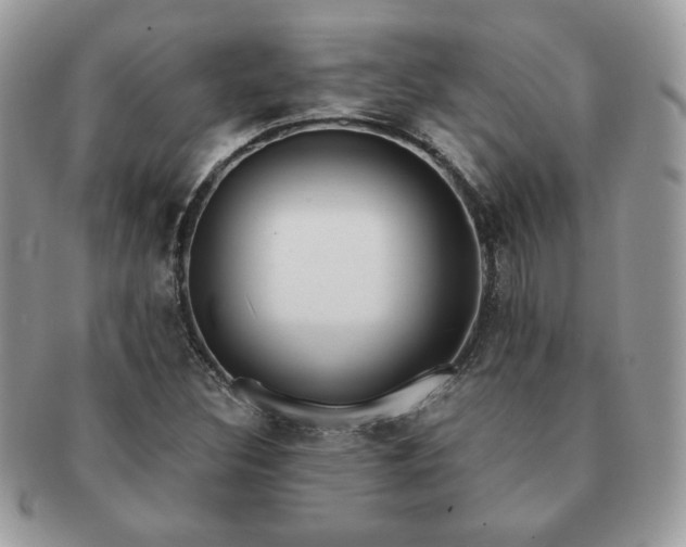 X0000091191308200708161541