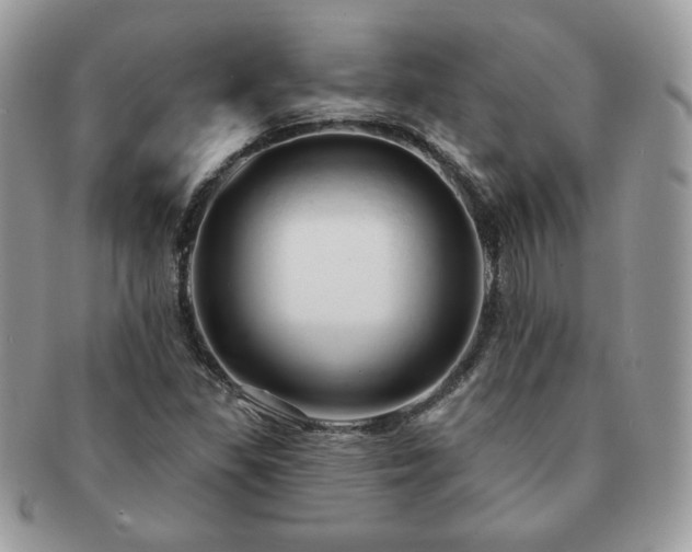 X0000091191309200708161541