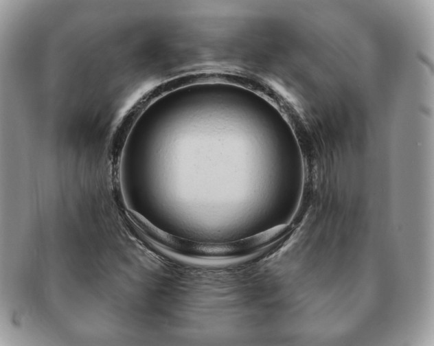 X0000091191310200708161541