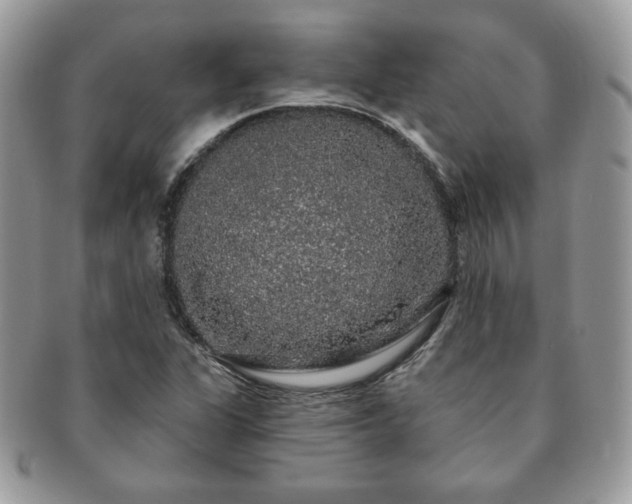 X0000091191311200708161541