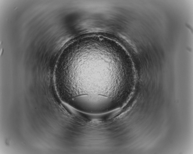 X0000091191313200708161541