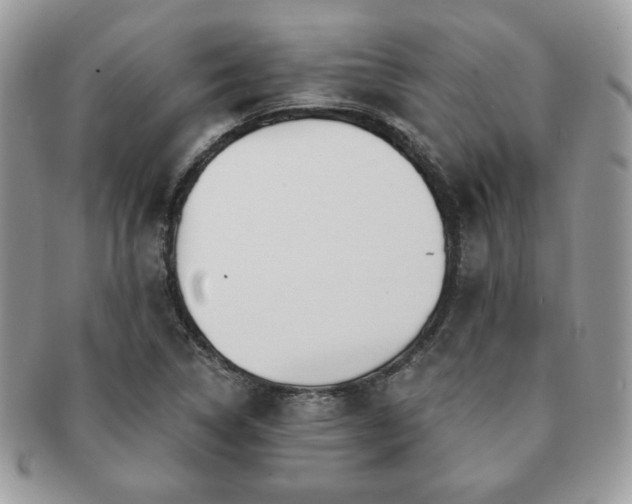 X0000091191314200708161541