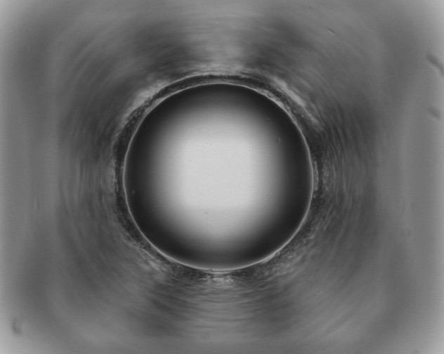 X0000091191315200708161541