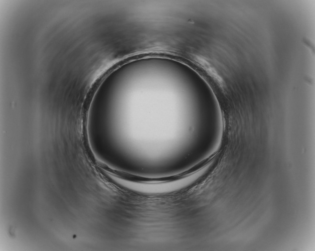 X0000091191316200708161541