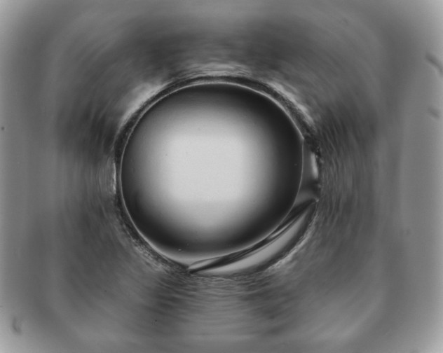 X0000091191317200708161541