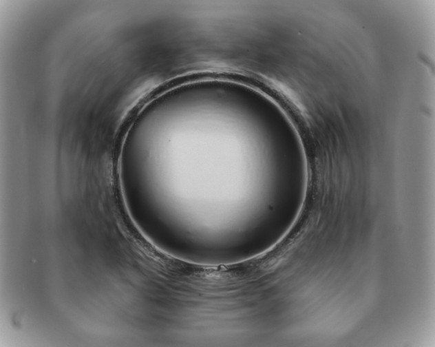 X0000091191318200708161541