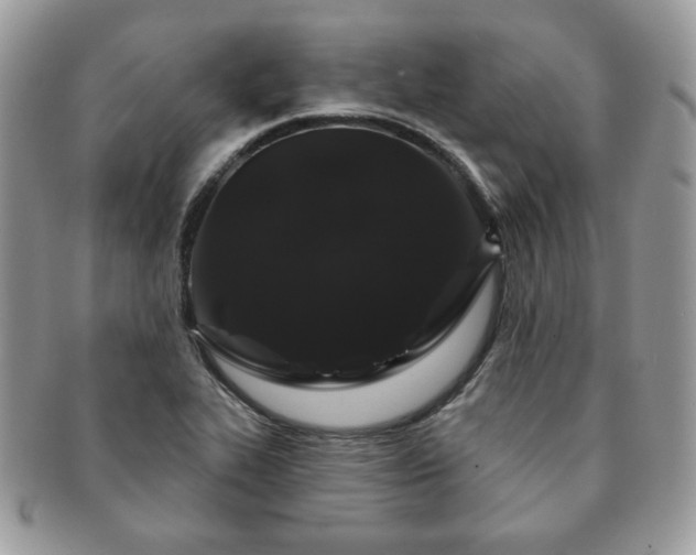 X0000091191319200708161541