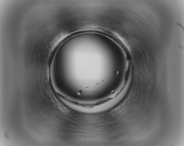 X0000091191320200708161541