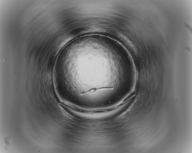 X0000091191321200708161541