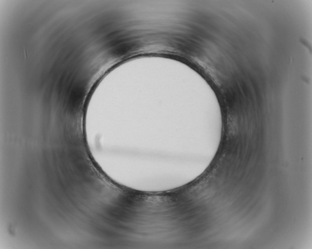 X0000091191322200708161541