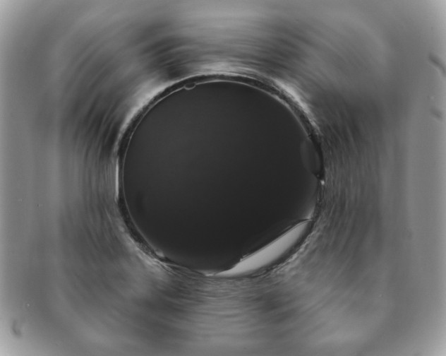 X0000091191323200708161541