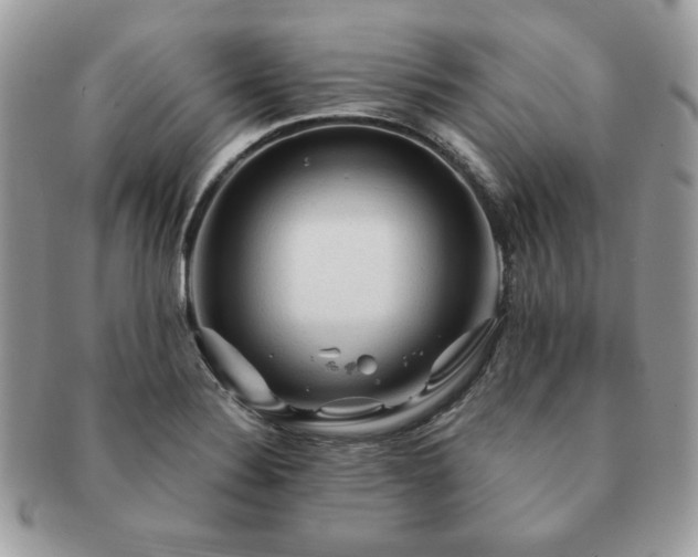 X0000091191324200708161541