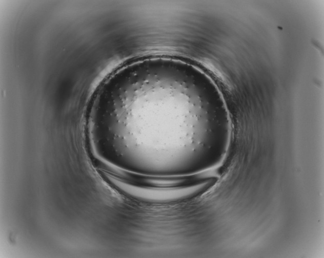 X0000091191325200708161541