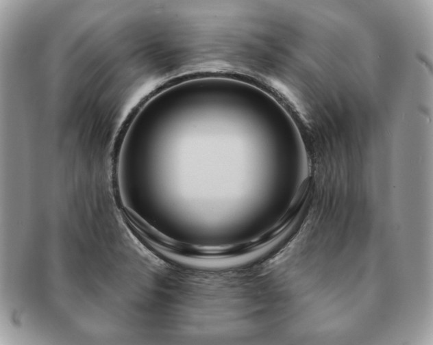 X0000091191326200708161541