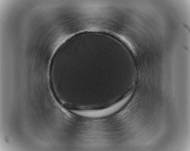 X0000091191327200708161541