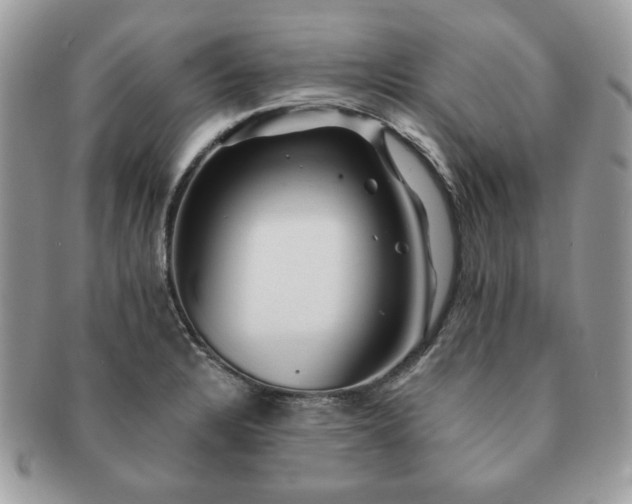 X0000091191328200708161541