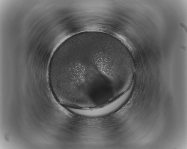 X0000091191331200708161541