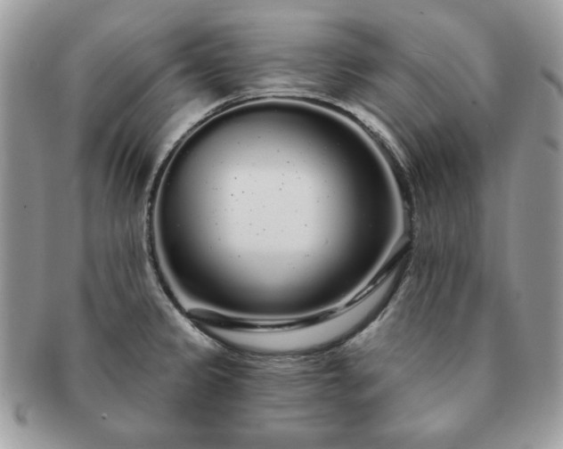 X0000091191333200708161541