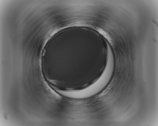 X0000091191334200708161541