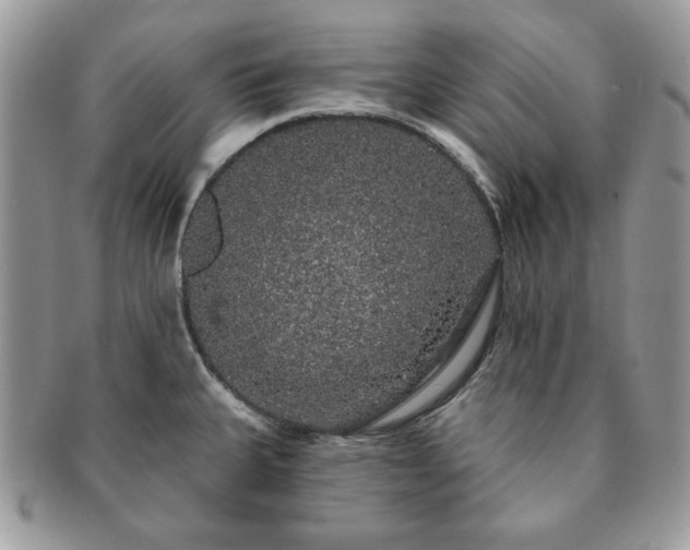 X0000091191335200708161541