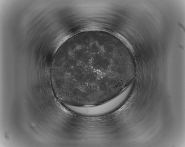 X0000091191337200708161541