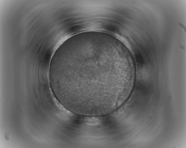 X0000091191338200708161541