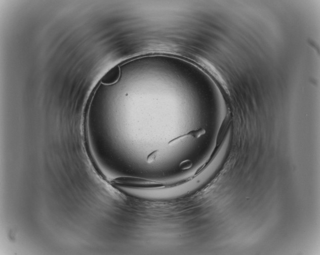 X0000091191339200708161541