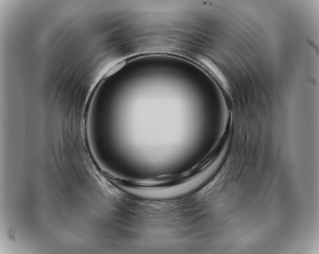 X0000091191340200708161541