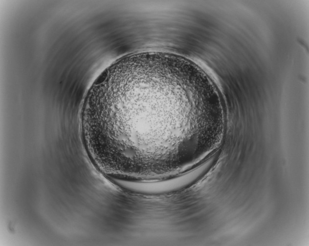 X0000091191341200708161541
