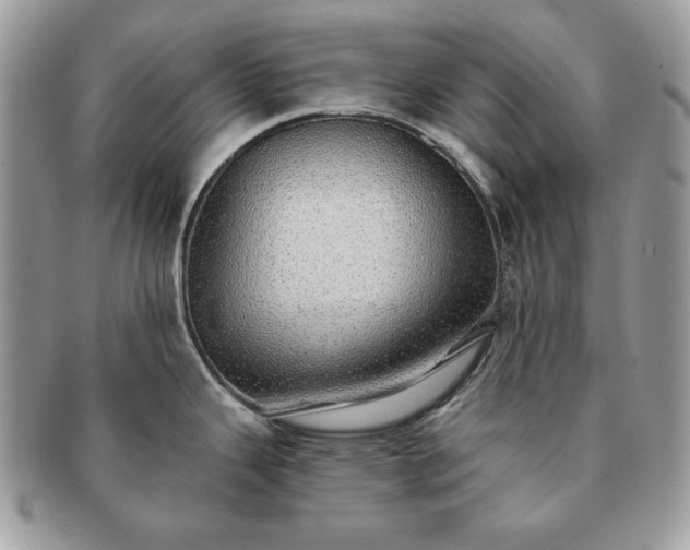 X0000091191343200708161541