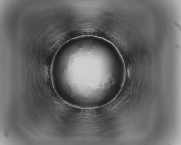 X0000091191347200708161541