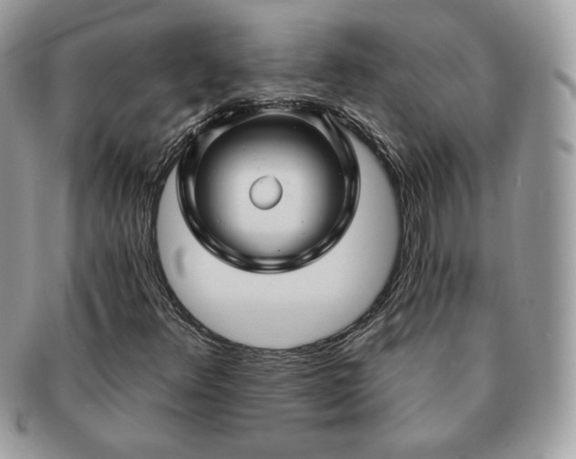 X0000091191348200708161541