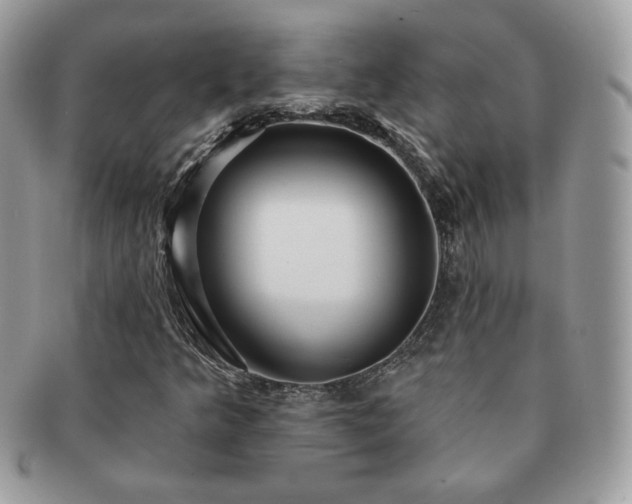 X0000091191349200708161541