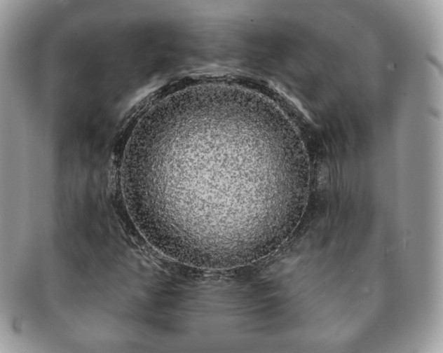 X0000091191350200708161541