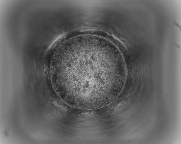 X0000091191351200708161541