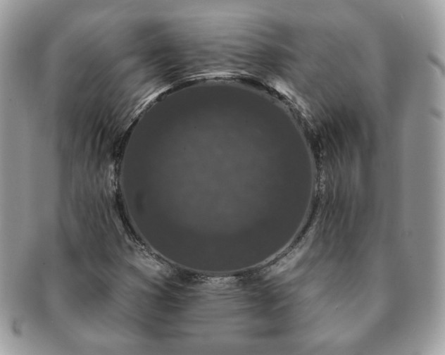 X0000091191353200708161541