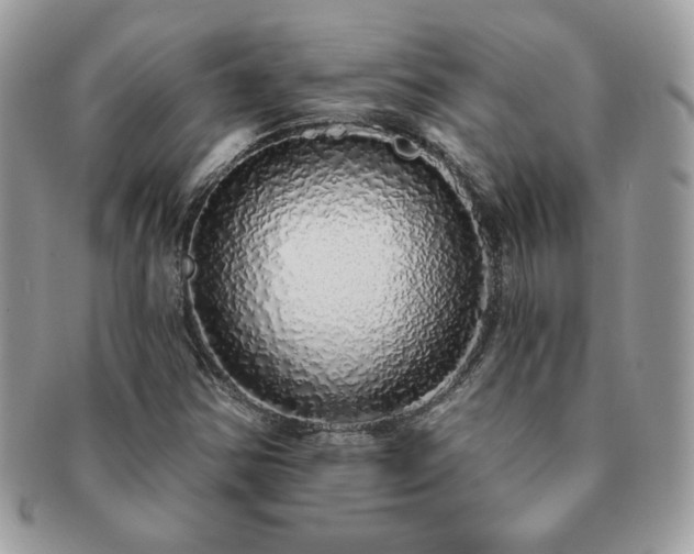 X0000091191354200708161541