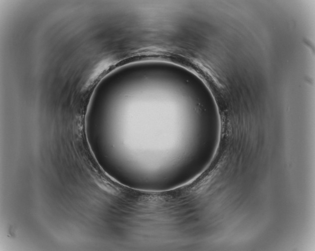 X0000091191355200708161541