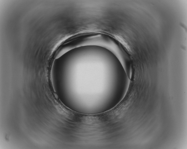 X0000091191356200708161540