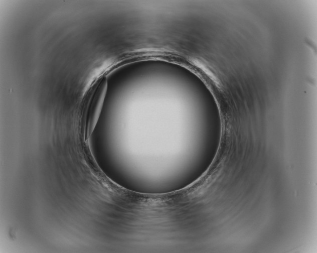 X0000091191357200708161540