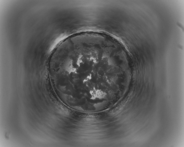 X0000091191359200708161540