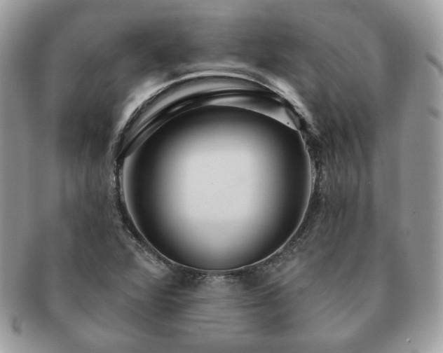 X0000091191360200708161540