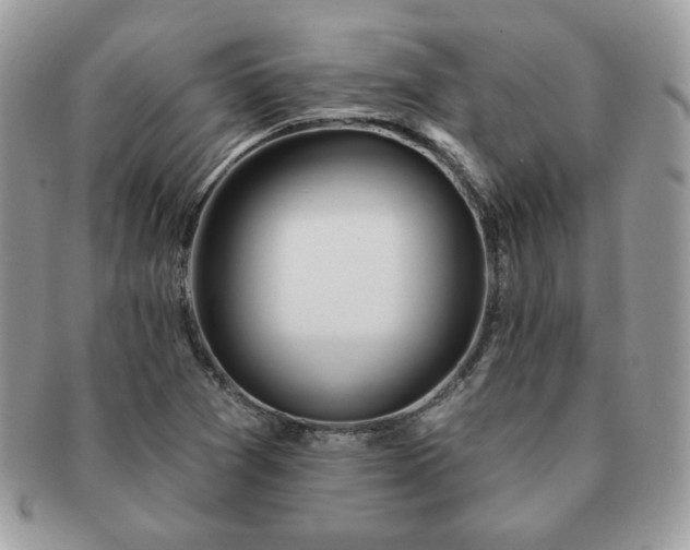 X0000091191361200708161540