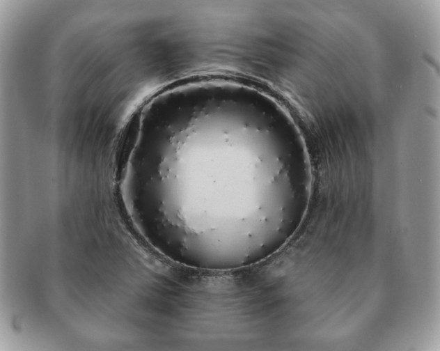X0000091191363200708161540