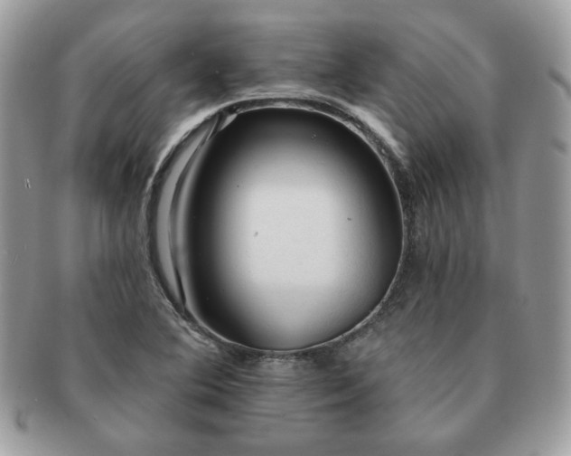 X0000091191364200708161540