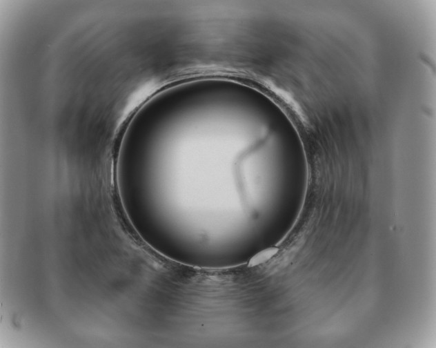 X0000091191365200708161540