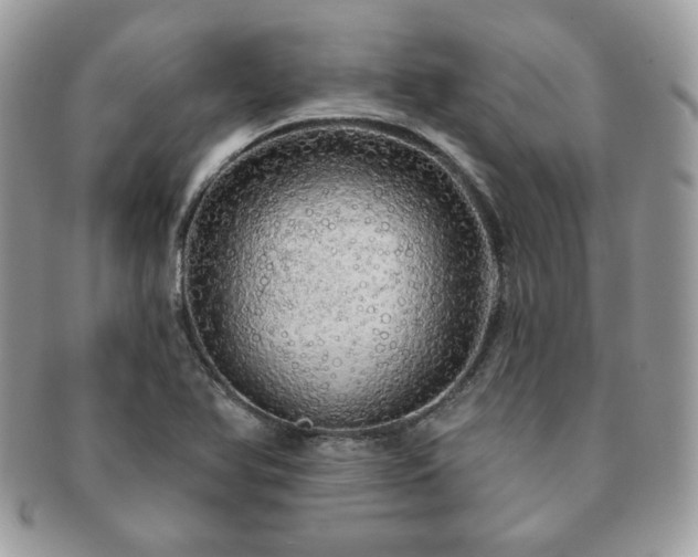 X0000091191366200708161540