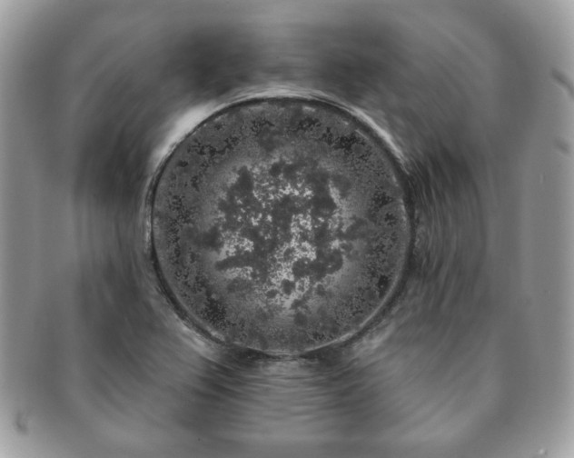 X0000091191367200708161540