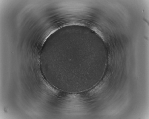 X0000091191369200708161540